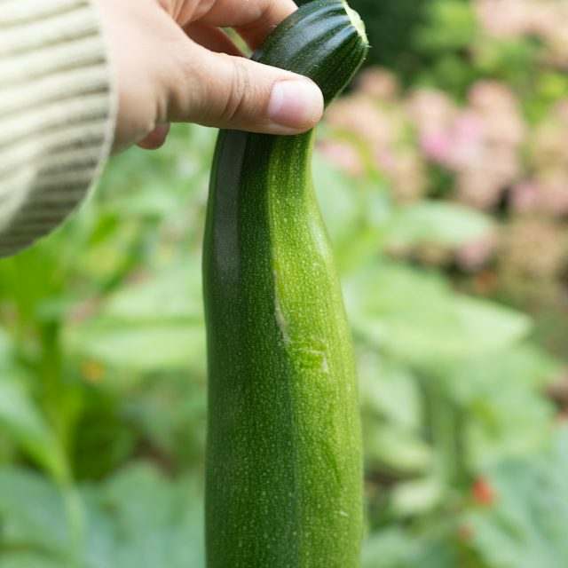Courgettes