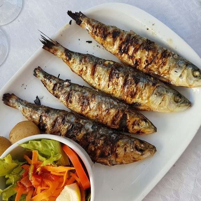 Sardines