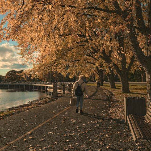 Promenade au bord d’un lac en automne